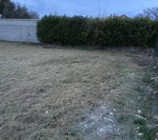 Terrain après débroussaillage