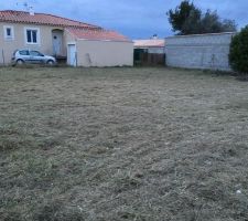 Terrain après débroussaillage