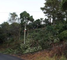 D&eacute;but du nettoyage