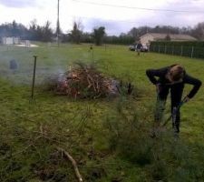 Préparation du terrain