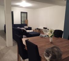 Vue d'ensemble vers le salon