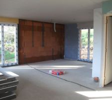 Commencement de la pose cloison tout va bien pour le moment