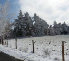 Regard d'hiver