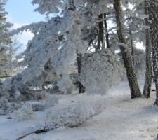 Regard d'hiver