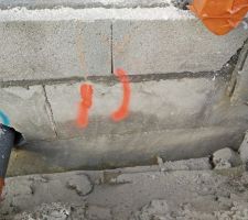 Fissure