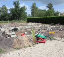 Vide sanitaire en cours