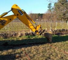 Le premier coup de pelle