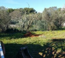 Enl&egrave;vement Olivier (1)