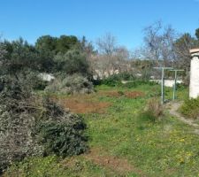 Enl&egrave;vement Olivier (1)