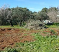 Enl&egrave;vement Olivier (1)