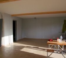 Sejour peinture en bleu-gris