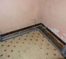 Création du réseau EU : Cuisine