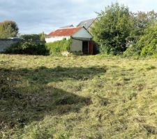 Le terrain à débrousailler après 5 ans sans entretien