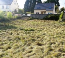 Le terrain &agrave; d&eacute;brousailler apr&egrave;s 5 ans sans entretien