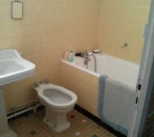 La maison telle que nous l'avons achetée. La salle de bains du sous-sol