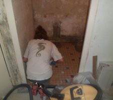 Primaire d'accrochage