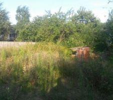 Voici le lieu de construction : un ancien jardin à la campagne!