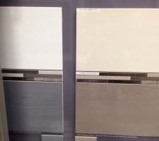 Petit coup de coeur pour le taupe