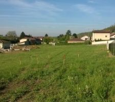 Premier piquetage pour v&eacute;rifier l'emplacement de notre future maison