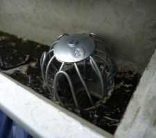 Crapaudine de gouttières