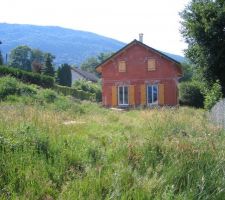 Avant coupe de l'herbe