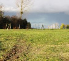 Accès terrain avant terrassement