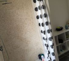 La douche reste a acheter une paroi digne de ce nom ?