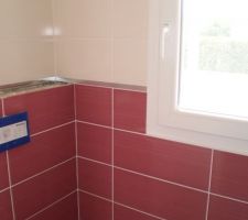 Un peu de couleur dans les toilettes : bordeaux sur 1,2m puis blanc cass&eacute;  jusqu'au plafond coup&eacute; par un profil&eacute; schulter inox brillant.