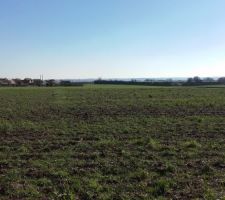 Notre terrain