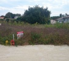 Notre petit terrain