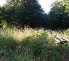 Aper&ccedil;u du terrain, et surtout de l'&eacute;tendue de la t&acirc;che qui nous attend.