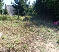 La d&eacute;broussailleuse est pass&eacute;e par l&agrave;