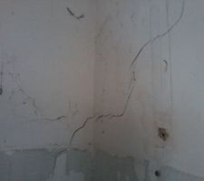 Fissure