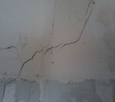 Fissure