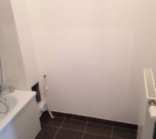 Emplacement wc dans salle de bain