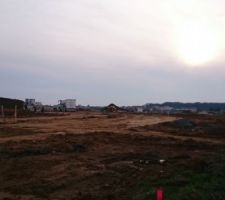 Lot 2/3