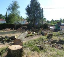 Après le passage du paysagiste