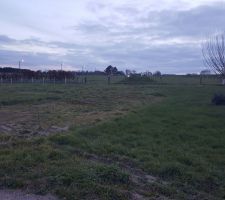 Terrain avant travaux.