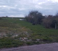 Terrain avant travaux