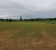 Terrain de luzerne, &agrave; la campagne