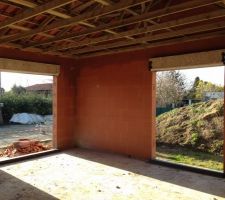 2 des 3 baies vitrees du salon