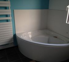 Salle de bain, Faience 20x60 Odazzi