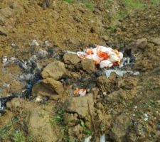 Coup de gueule sur le brulage des déchets plastiques!