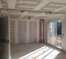 Salon , avec les fameuses r&eacute;servations manquantes dans la poutre