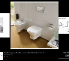 Wc suspendu design dans mon budget celui que j aimais 1200? et la ca pique