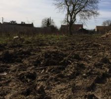 Le bornage sur le terrain