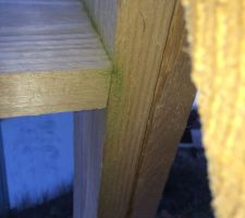 La charpente devient grise par endroits, le bois est pourri, les connecteurs s'écartent, et la verdure s'installe sur tous les pans