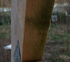 La charpente devient grise par endroits, le bois est pourri, les connecteurs s'écartent, et la verdure s'installe sur tous les pans