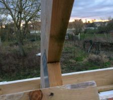 La charpente devient grise par endroits, le bois est pourri, les connecteurs s'écartent, et la verdure s'installe sur tous les pans