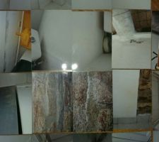 Moisissure maison locataire